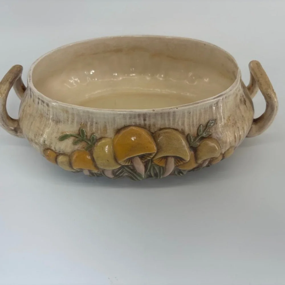 Vtg 1970s Arnel's Mushroom‎ Soup Tureen/ Dish Retro Cottagecore MCM Decor